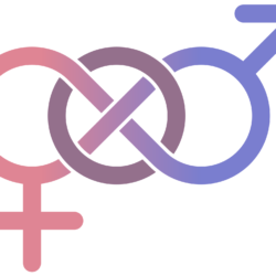 Gênero biológico, identidade e sexualidade